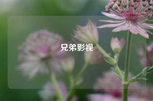 兄弟影视
