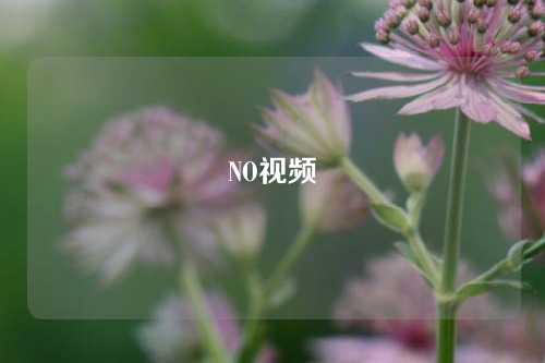 NO视频