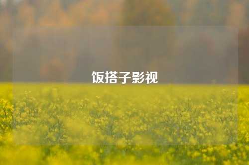 饭搭子影视