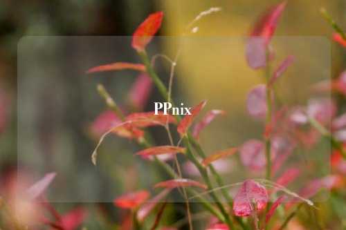 PPnix